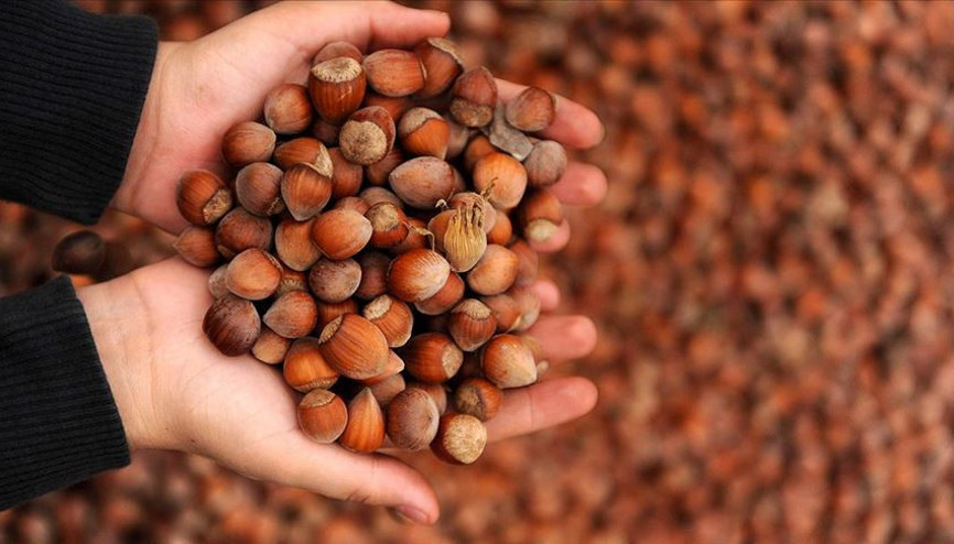 Bakan Pakdemirli açıkladı: Hedef 1 milyon ton