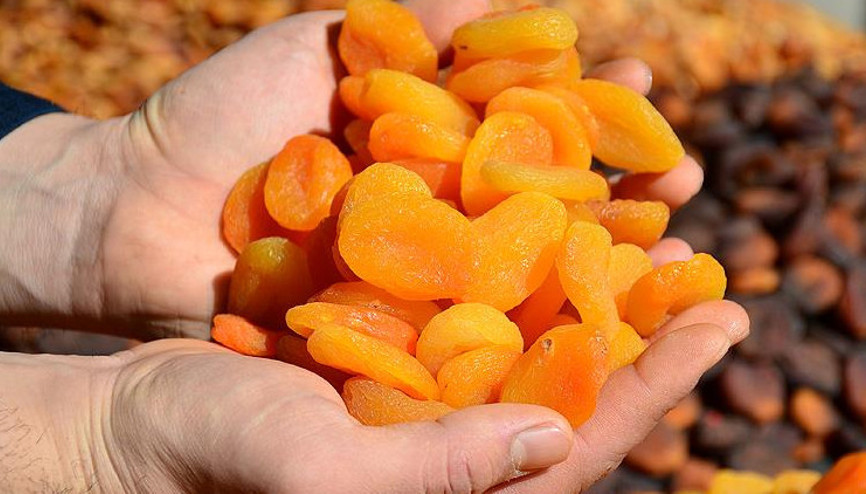 Türkiye kuru meyvelerin ihraç fiyatlarında da belirleyici olacak