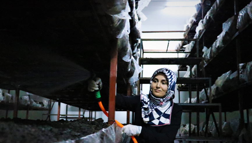 Ev sahibinden görüp devlet desteğiyle kurdular Şimdi talep yağıyor