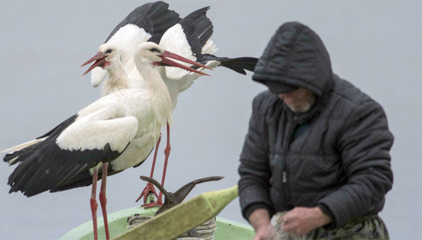 Türkiyenin konuştuğu ikiliye yeni üye İnanılmaz hikaye...