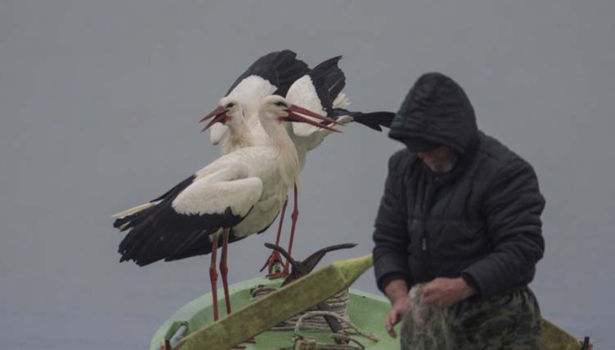 Adem Amca ve Yaren Leylek hikayesine yeni üye…