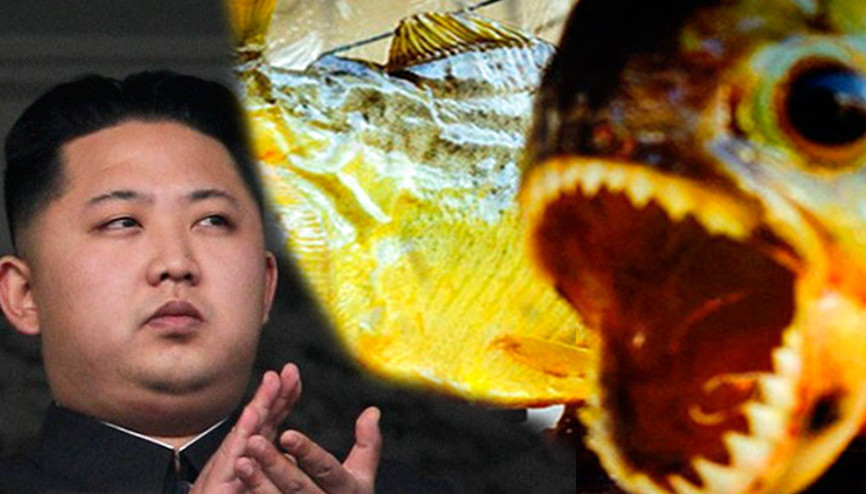 Kim Jong-un hakkında kan donduran iddia: Pirana dolu su tankına attı