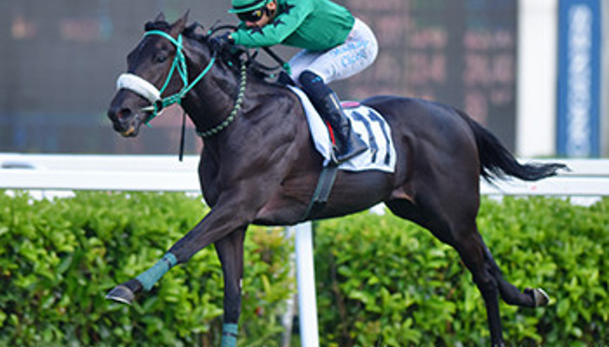 Rakip tanımıyor Gazi’ye rakip tanımadan geliyor…