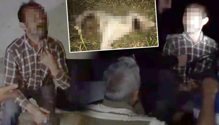 Yavru köpeği işkence yaparak öldürdü sözleri çileden çıkarttı