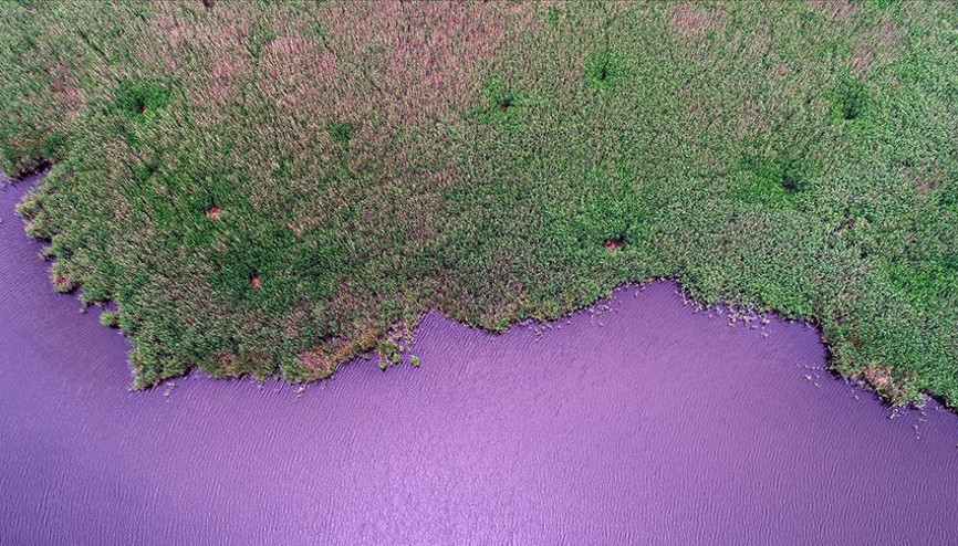 İğneada Longoz Ormanlarında görsel şölen