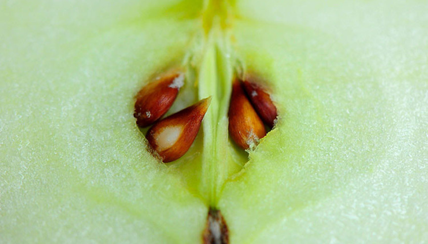 Reçel nasıl yapılır Reçel yapmanın püf noktaları nelerdir