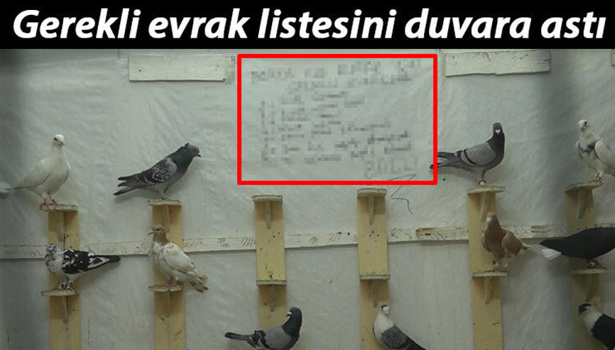 Veresiye güvercin problemine şaşırtıcı çözüm