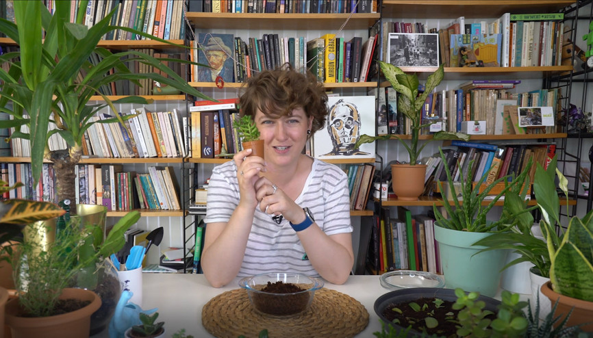 Sukulent nasıl çoğaltılır