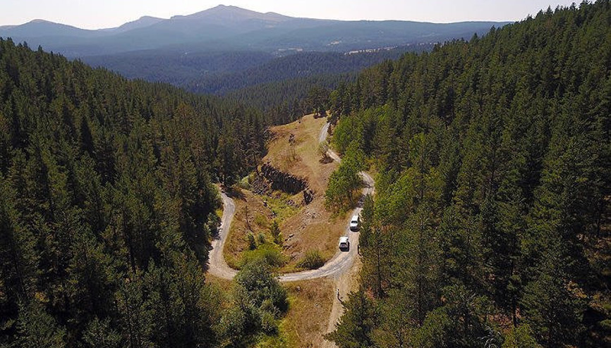 Bakan Pakdemirli açıkladı: Yüzde 40 arttırdık, dünya üçüncüsüyüz Bakan Pakdemirli açıkladı: Yüzde 40 arttırdık, dünya üçüncüsüyüz