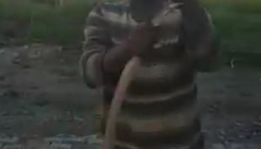 Yakaladığı yılana elini ısırttı Yakaladığı yılana elini ısırttı