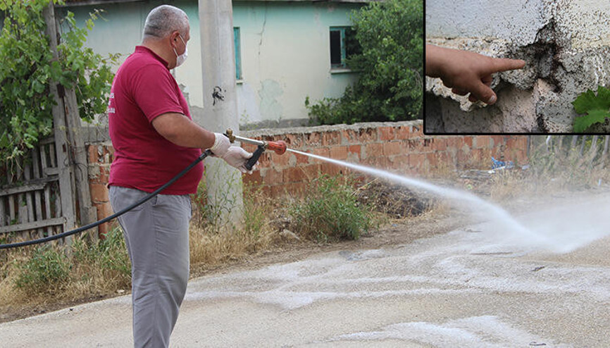 Böceklerin istilasına uğrayan mahalleli evlerini boşalttı