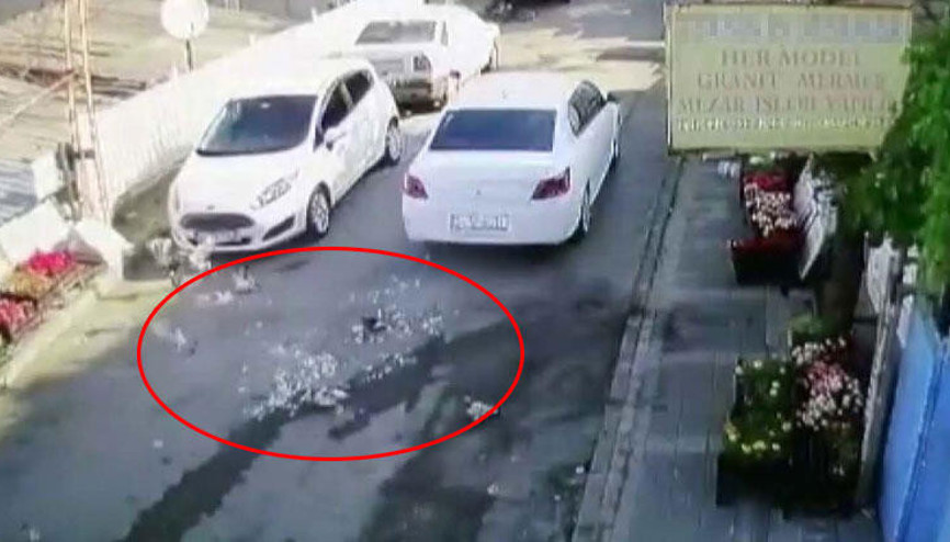 Vicdansız sürücü komşusunun beslediği kuşları aracıyla böyle ezdi