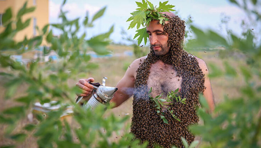 Arı Adamın hedefi Guinnesse girmek
