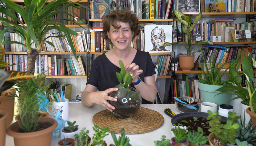 Kaktüs yavrusu nasıl ayrılır