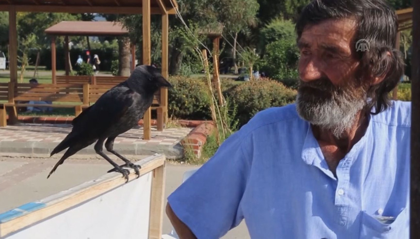 Kargadan sonra işleri açıldı...