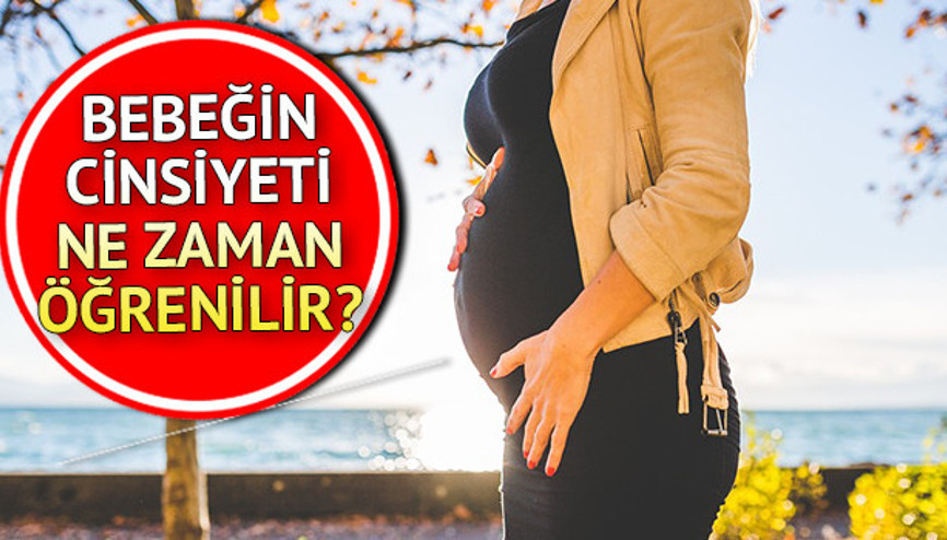 Bebeğin cinsiyeti ne zaman belli olur