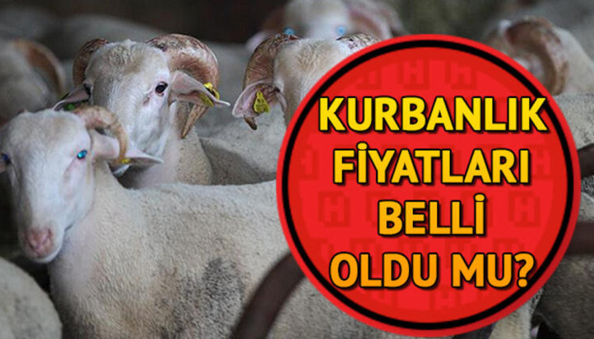 Kurbanlık fiyatları açıklandı mı Kurban Bayramı ne zaman