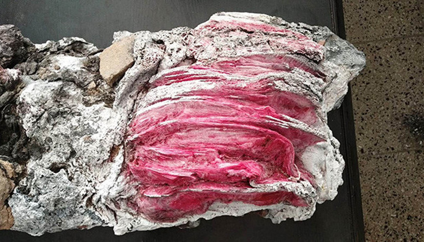 Yüzerken bulmuş ve gözlerine inanamamıştı Ne olduğu ortaya çıktı