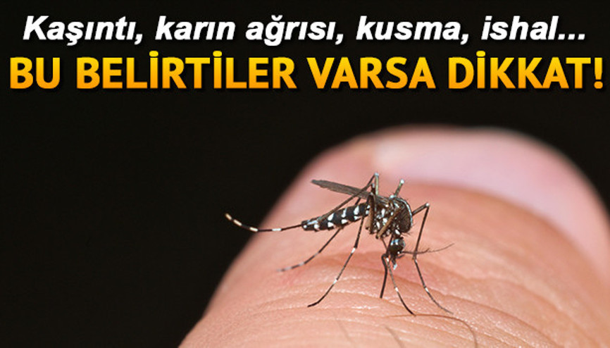 Böcek sokması belirtileri neler Böcek sokmasına ne iyi gelir