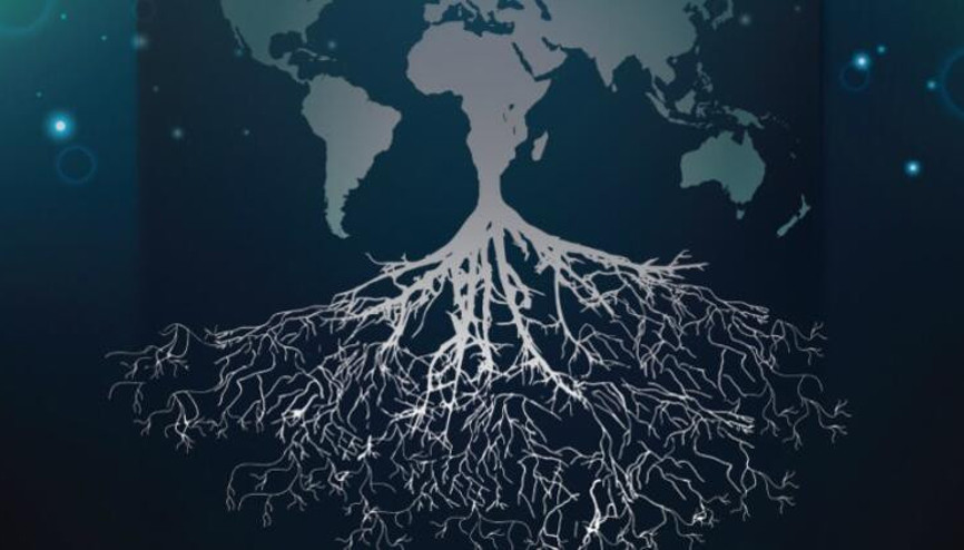 Bilişim sektörünün ilk 500 şirketi açıklandı Bilişim sektörünün ilk 500 şirketi açıklandı