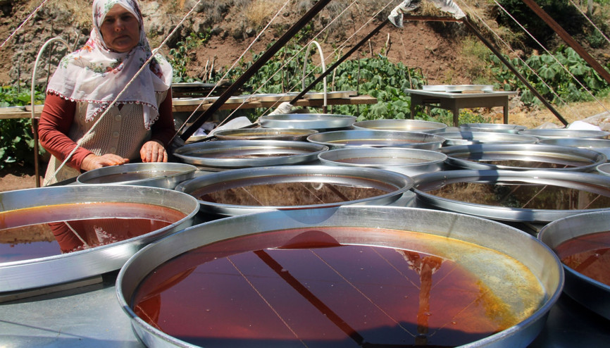 Şebinkarahisarda kadınların pestil ve pekmez mesaisi başladı