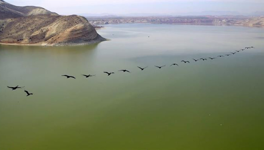 Kuş cennetinden eşsiz görüntüler