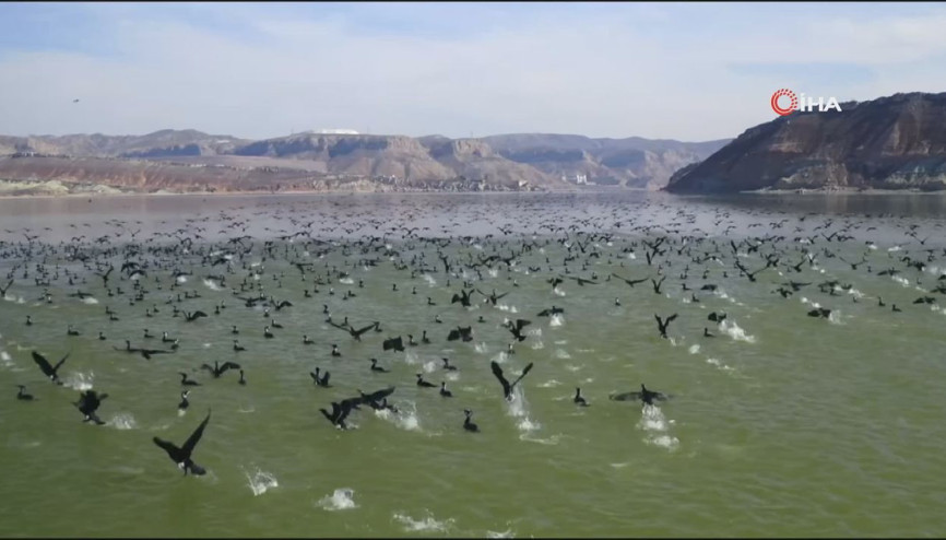 Kuş cennetinden eşsiz görüntüler