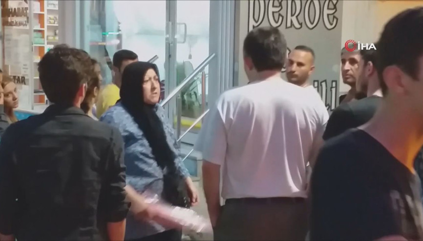 Otel sahibi kadın: ”Bir yavru kedi için otelime zarar verdiniz”