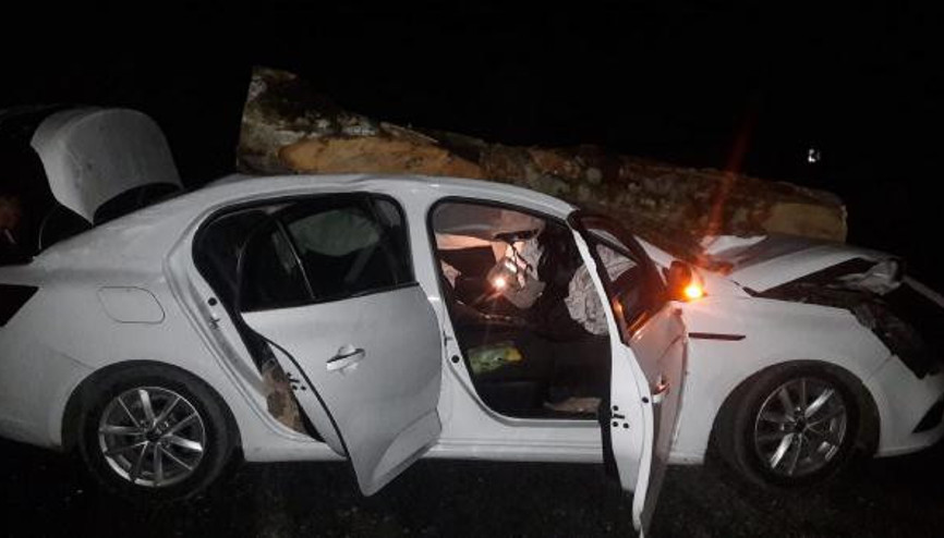 Otomobilin üzerine tomruk düştü: 3 yaralı Otomobilin üzerine tomruk düştü: 3 yaralı