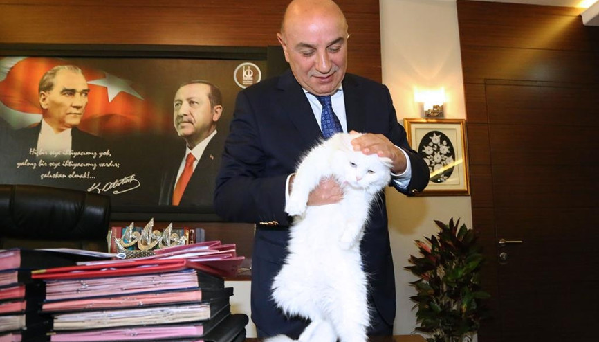 Boncuk’un yeni evi belediye