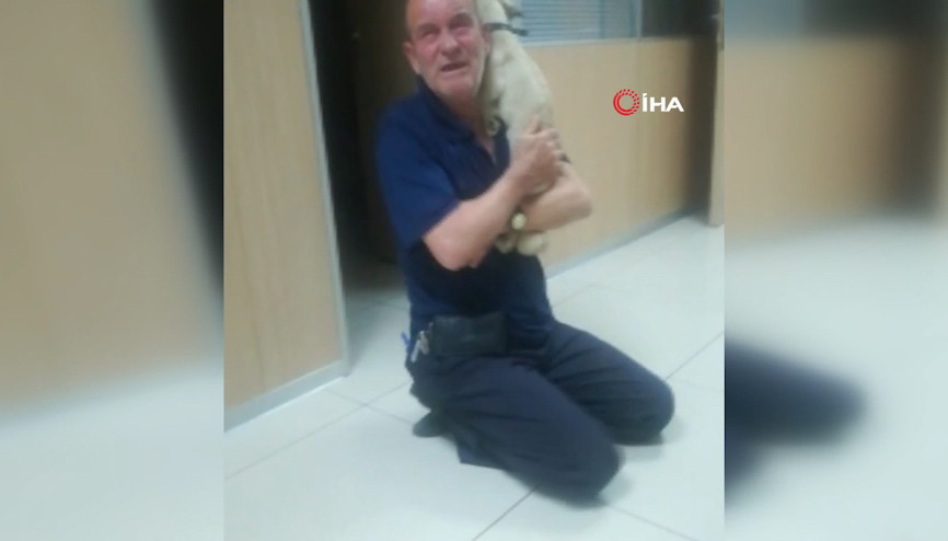 Çalınan köpeğine böyle kavuştu Çalınan köpeğine böyle kavuştu