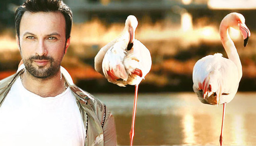 Tarkan’dan mesaj var