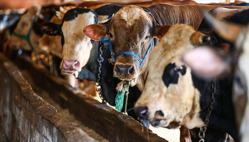 2019 Kurban Bayramı ne zaman başlayacak Bayram tatili kaç gün