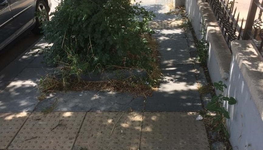 Okurların gözünden Ankara Sokakları