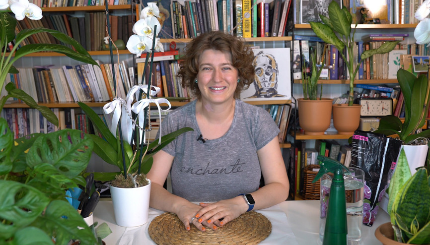 Orkide bakımının püf noktaları