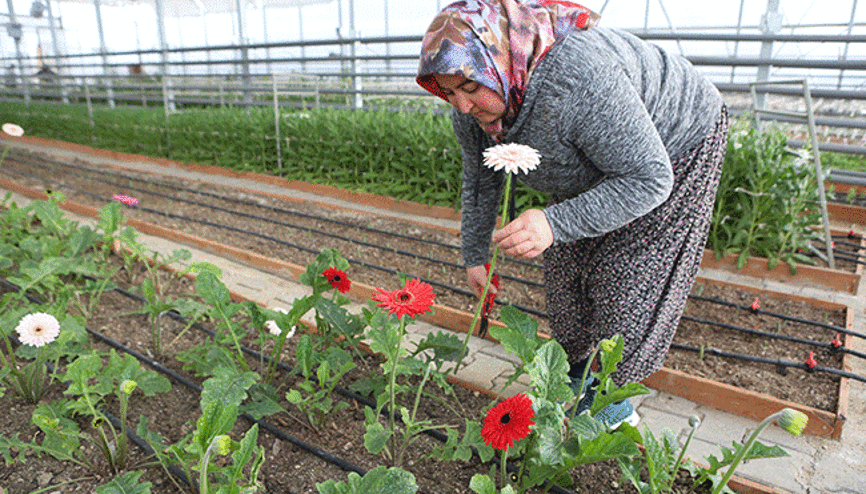 BİLİNÇSİZ ÜRETİM ÇİÇEĞİ VURMASIN