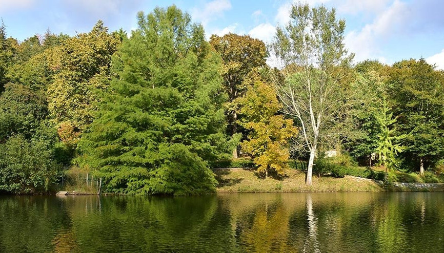 İstanbulun müze parkı Atatürk Arboretumu