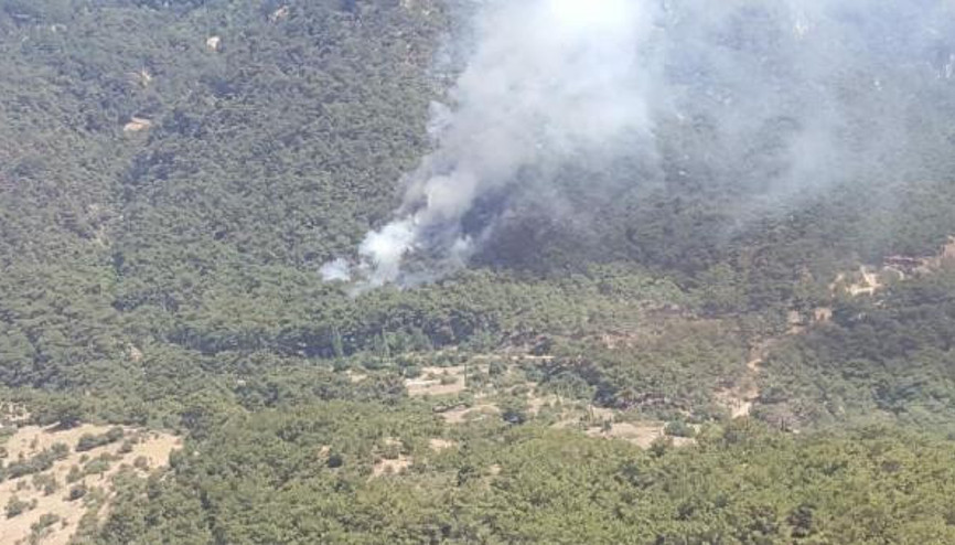 İzmirde tabiat parkı yakınında orman yangını