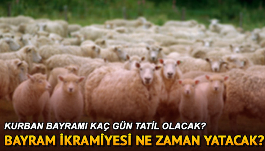 Bayram ikramiyesi ne zaman ayın kaçında yatacak Kurban bayramı 9 gün oldu mu
