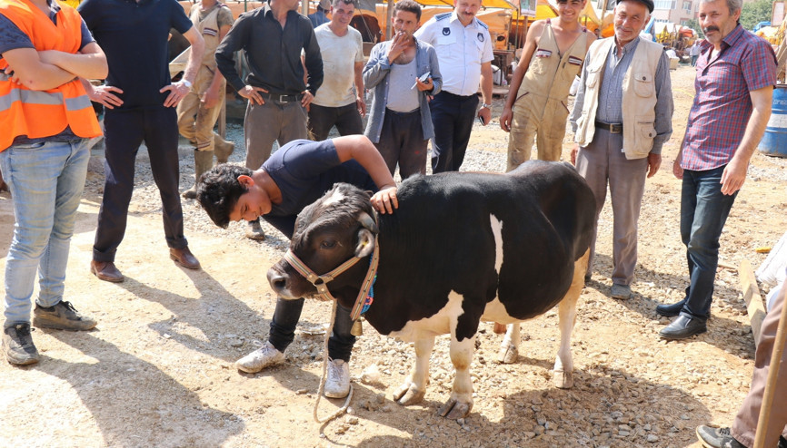 Cüce tosun Paşa kurban pazarının ilgi odağı oldu