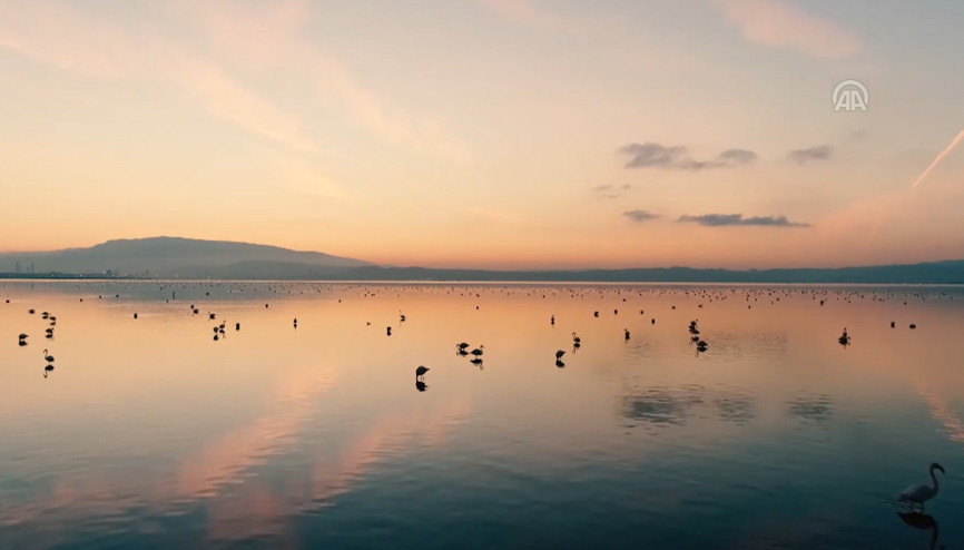 Gediz Deltasına UNESCO çağrısı
