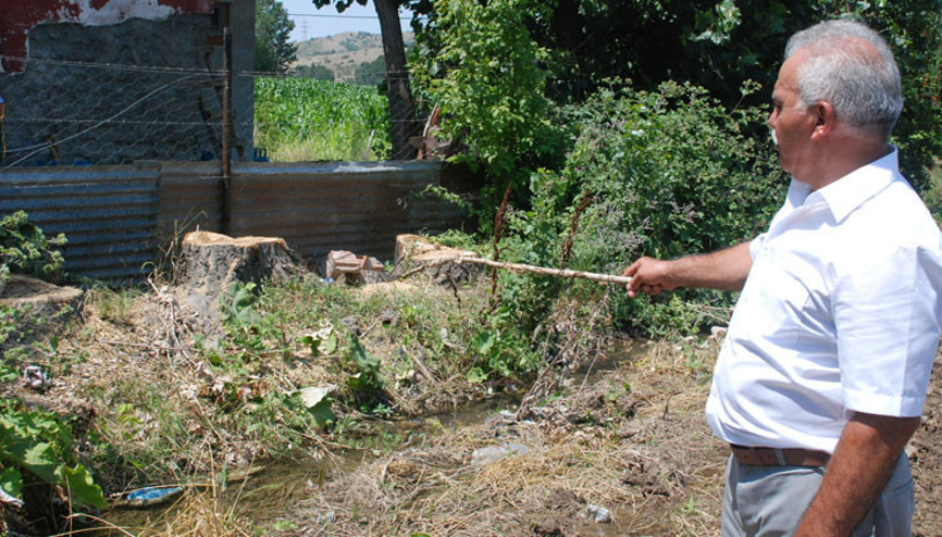 Gurbetçi ile yeğeni arasında ‘kavak’ kavgası