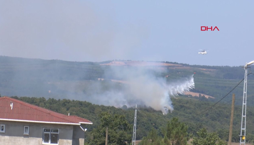 Pendikte orman yangın