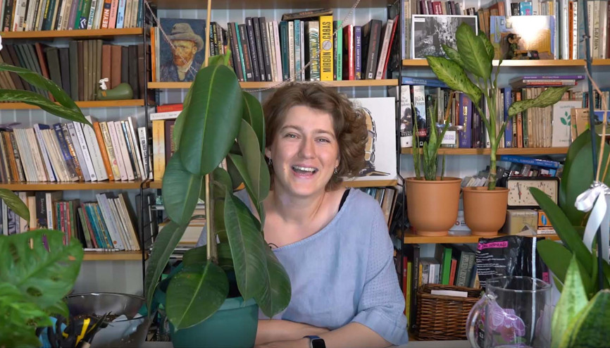 Kök çürümesi olan bitki nasıl kurtarılabilir Kök çürümesi olan bitki nasıl kurtarılabilir