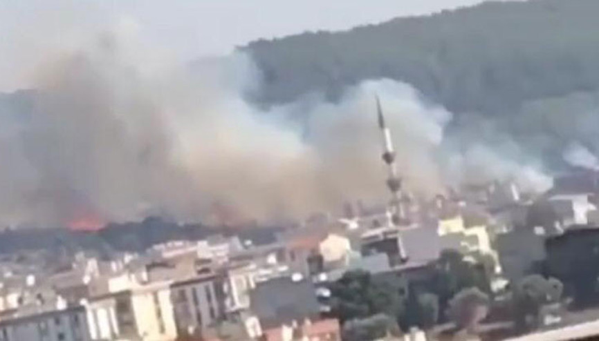 Saman yüklü kamyon devrildi Orman yangını çıktı…