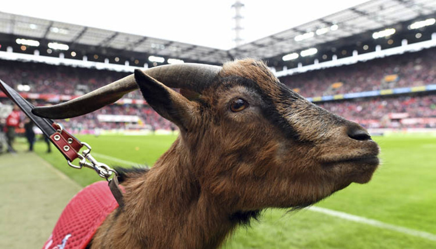 12 yaşında yollar ayrılıyor