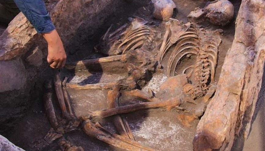 Kazı çalışmasında 5 bin yıllık insan iskeletleri çıktı