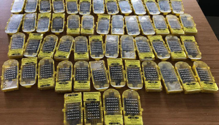 Sabiha Gökçen Havalimanında ele geçirildi Ne olduğunu tahmin bile edemezsiniz