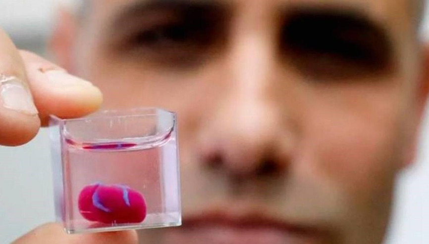 3D yazıcıyla kalp dokusu