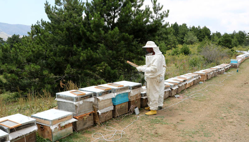Bu zehrin gramı 400 TL Türkiyede ilk kez yapıldı... Bu zehrin gramı 400 TL Türkiyede ilk kez yapıldı...